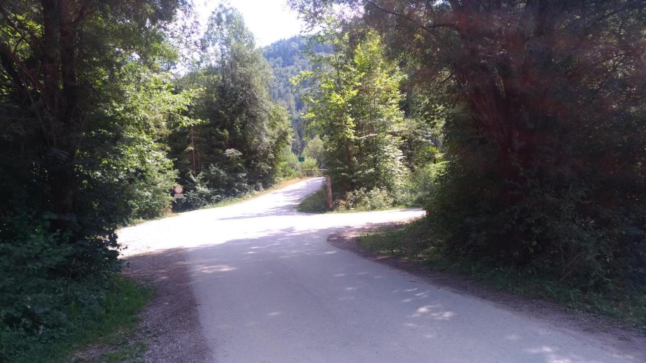 Apartma Lara Bled Zewnętrze zdjęcie